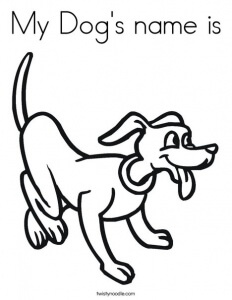 Memilih nama yang ideal untuk anjing peliharaan - Okdogi.com