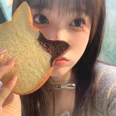 安德鲁克里斯和狮子