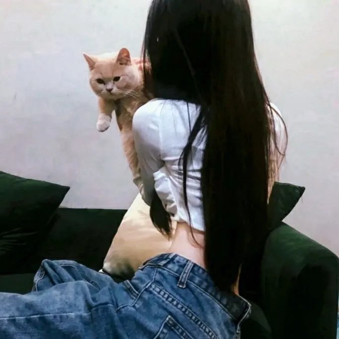 红盾先锋