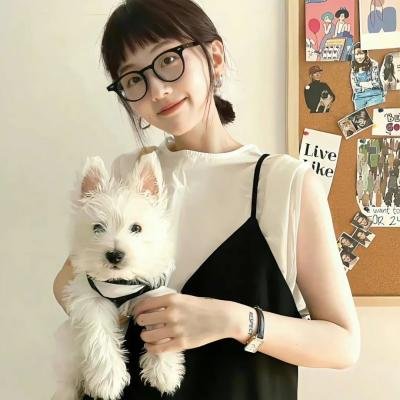 新蝶恋花