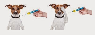 Vaksinasi pada anjing